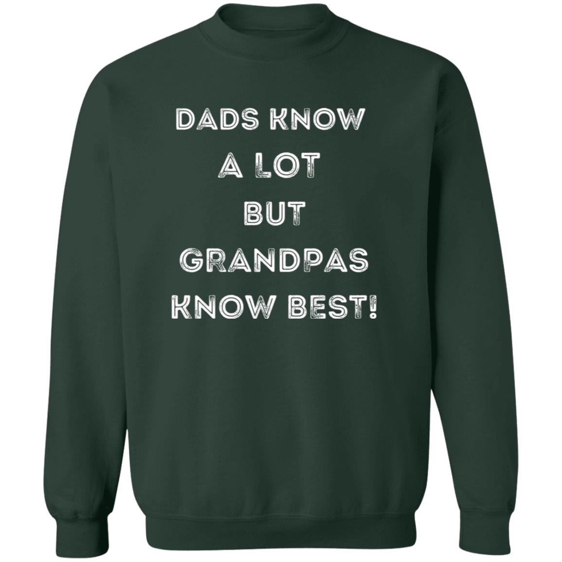 GRANDPA KNOWS BEST HOODIE OR SWEATSHIRT