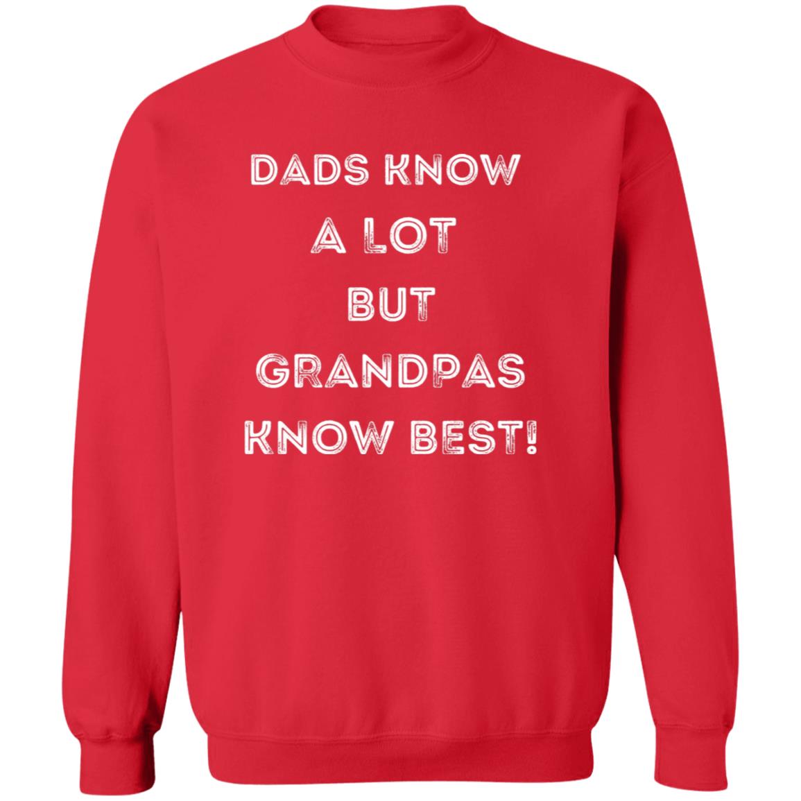 GRANDPA KNOWS BEST HOODIE OR SWEATSHIRT