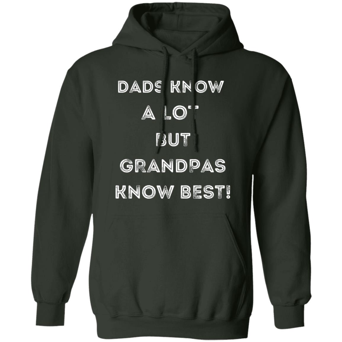 GRANDPA KNOWS BEST HOODIE OR SWEATSHIRT