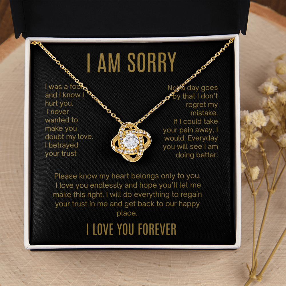 I Am Sorry| It Will Never Happen Again