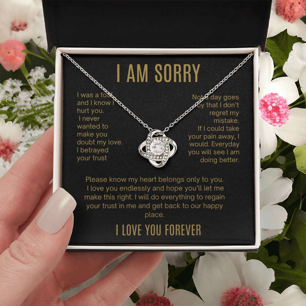 I Am Sorry| It Will Never Happen Again