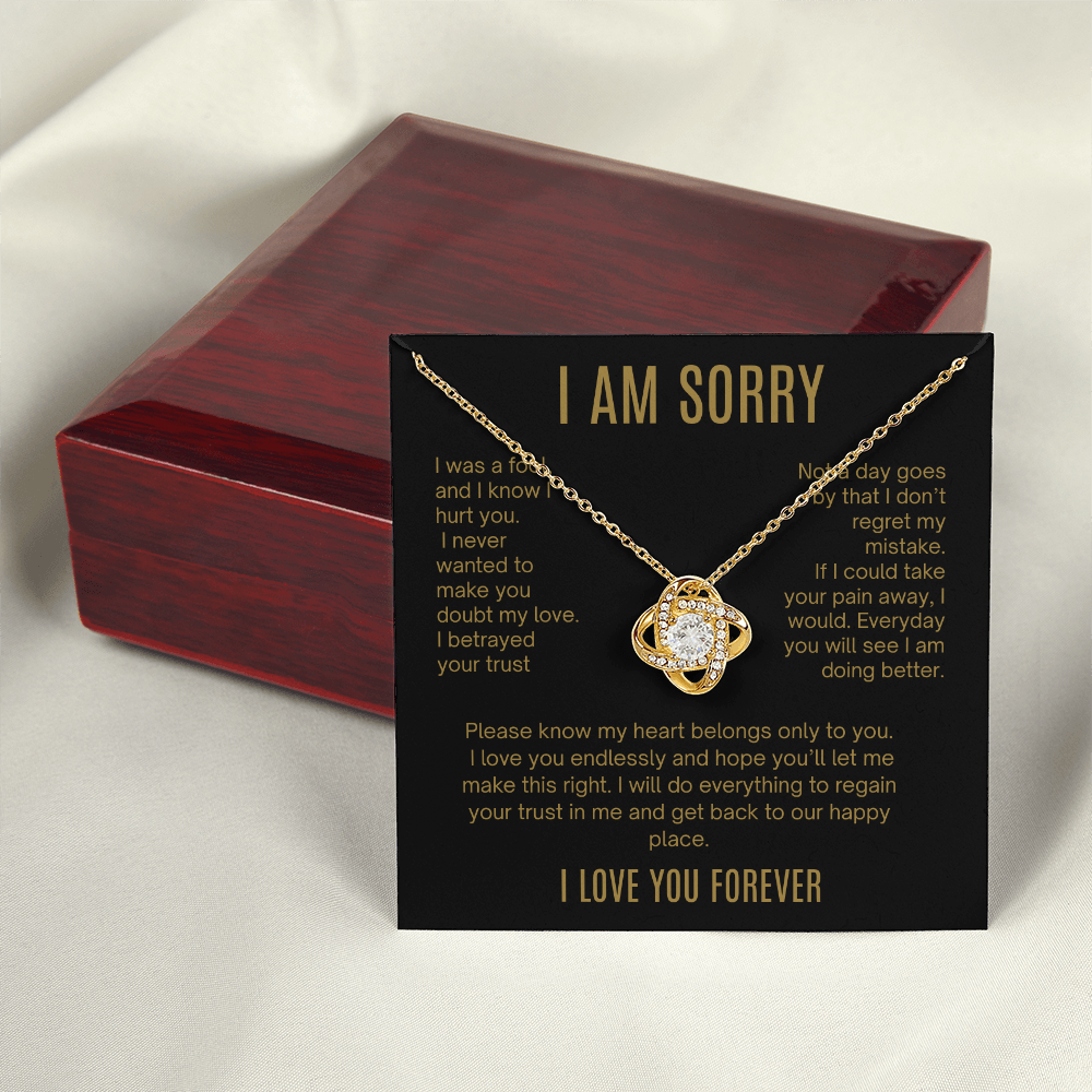 I Am Sorry| It Will Never Happen Again