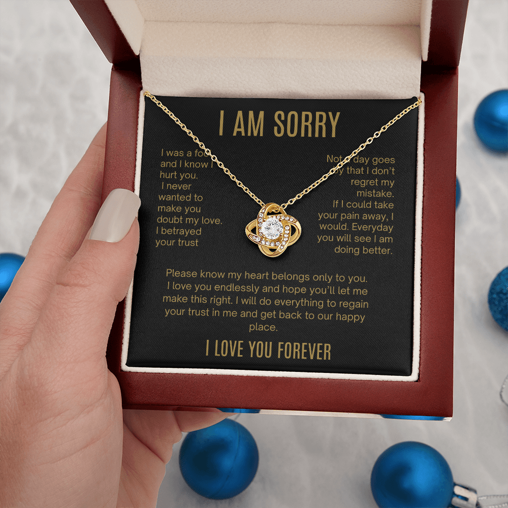 I Am Sorry| It Will Never Happen Again