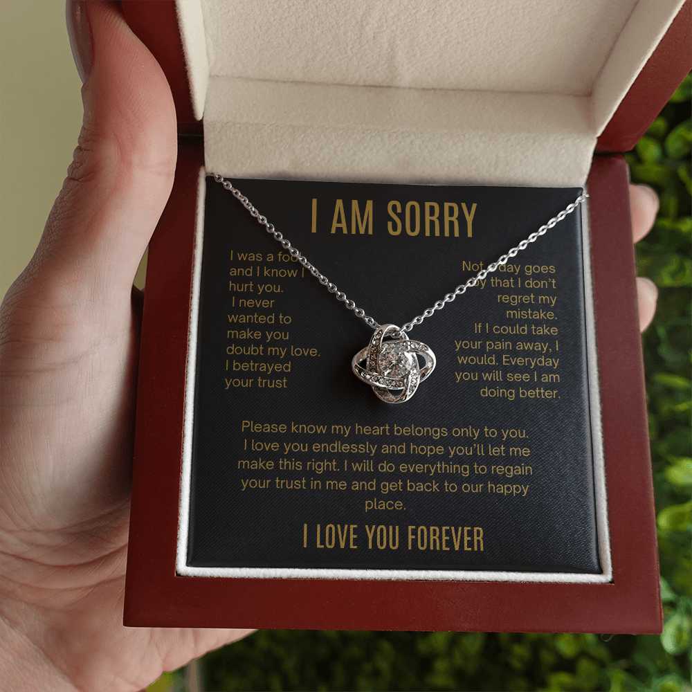 I Am Sorry| It Will Never Happen Again