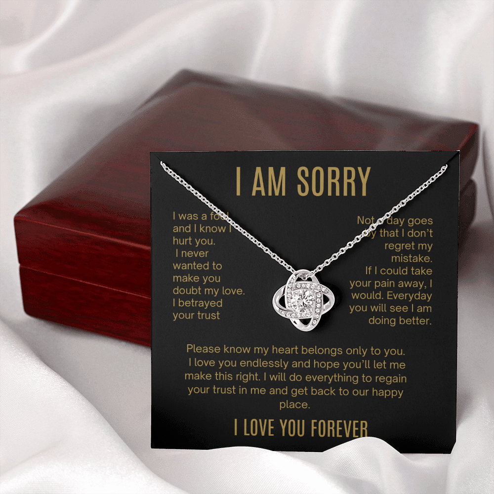 I Am Sorry| It Will Never Happen Again