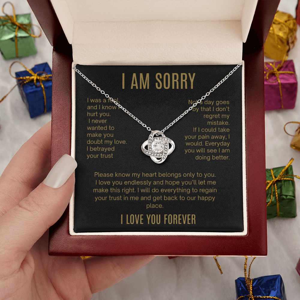 I Am Sorry| It Will Never Happen Again