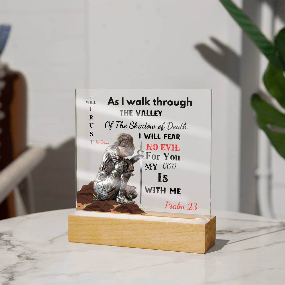 23 Psalm-Praying Warrior LED Acrylic Plaque