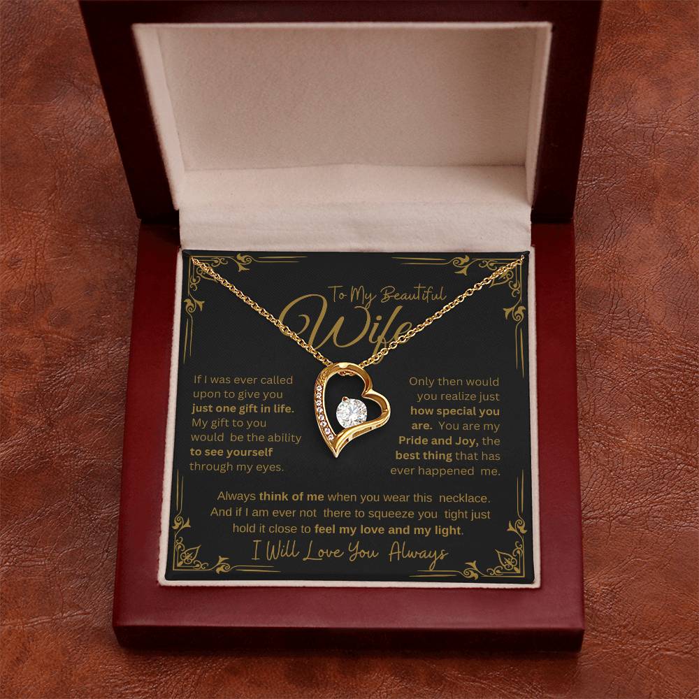 MY BEAUTIFUL WIFE YOU ARE SPECIAL TO ME  FOREVER NECKLACE