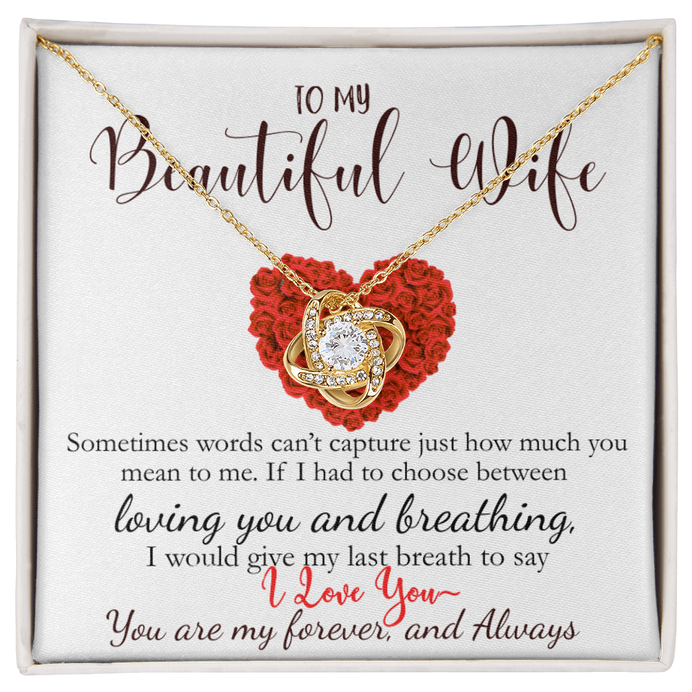 To My Beautiful Wife- Never Forget How Much You Mean To Me