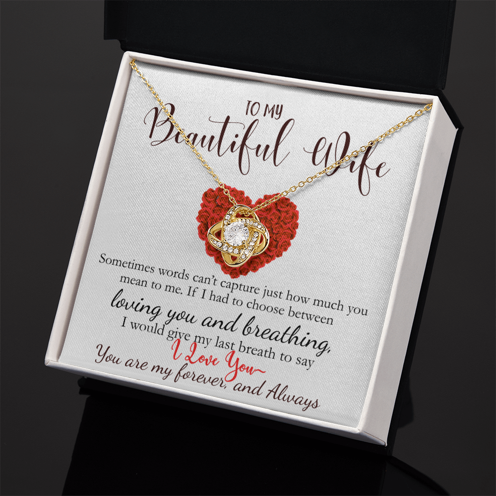 To My Beautiful Wife- Never Forget How Much You Mean To Me