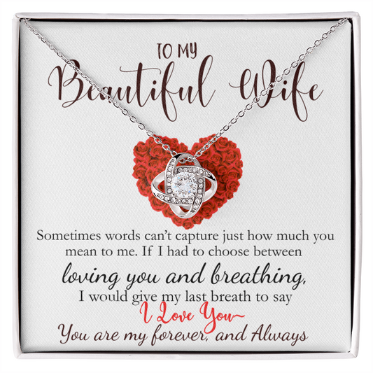To My Beautiful Wife- Never Forget How Much You Mean To Me