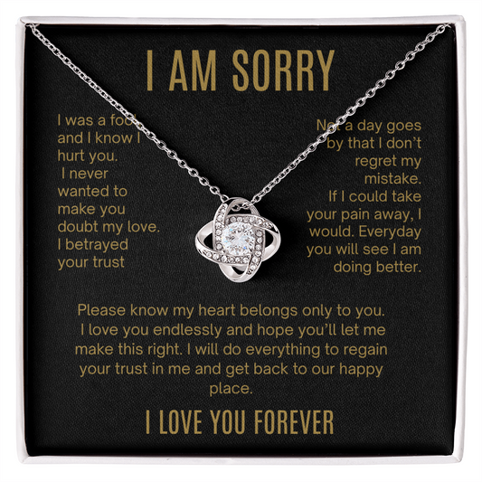 I Am Sorry| It Will Never Happen Again