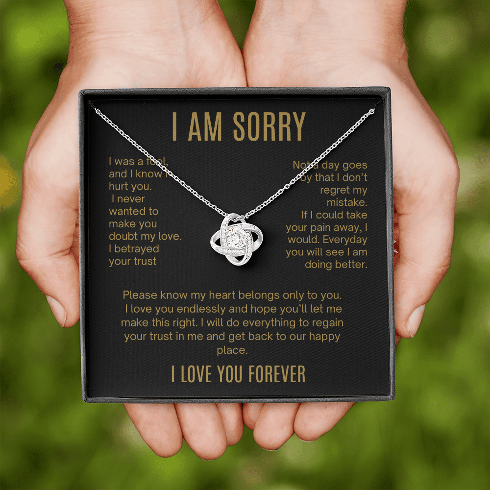 I Am Sorry| It Will Never Happen Again