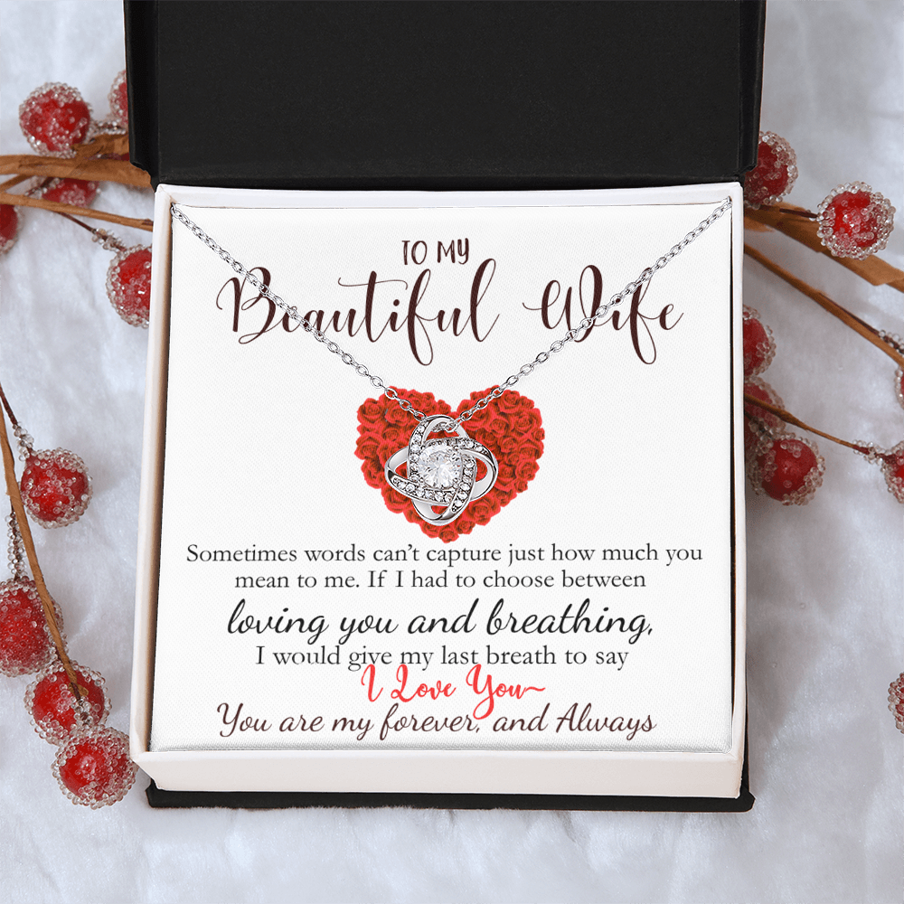 To My Beautiful Wife- Never Forget How Much You Mean To Me