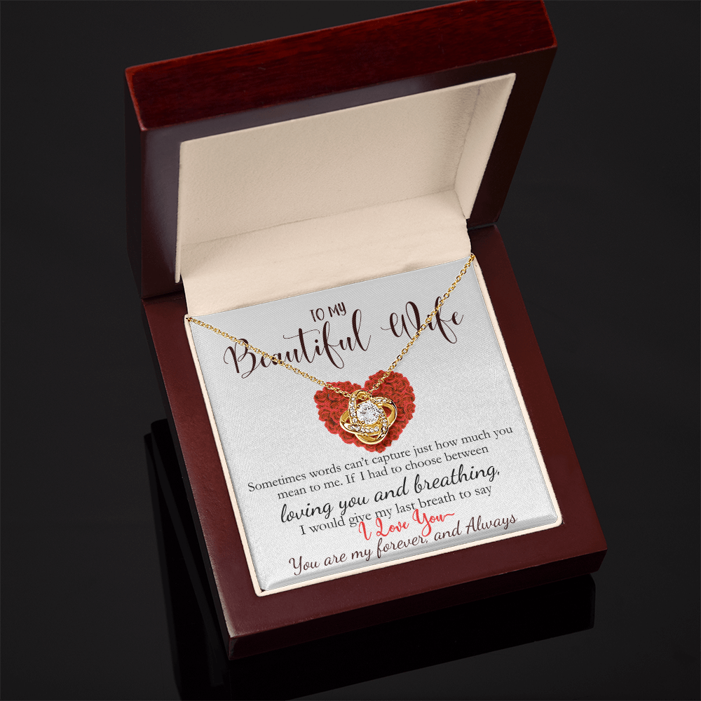 To My Beautiful Wife- Never Forget How Much You Mean To Me