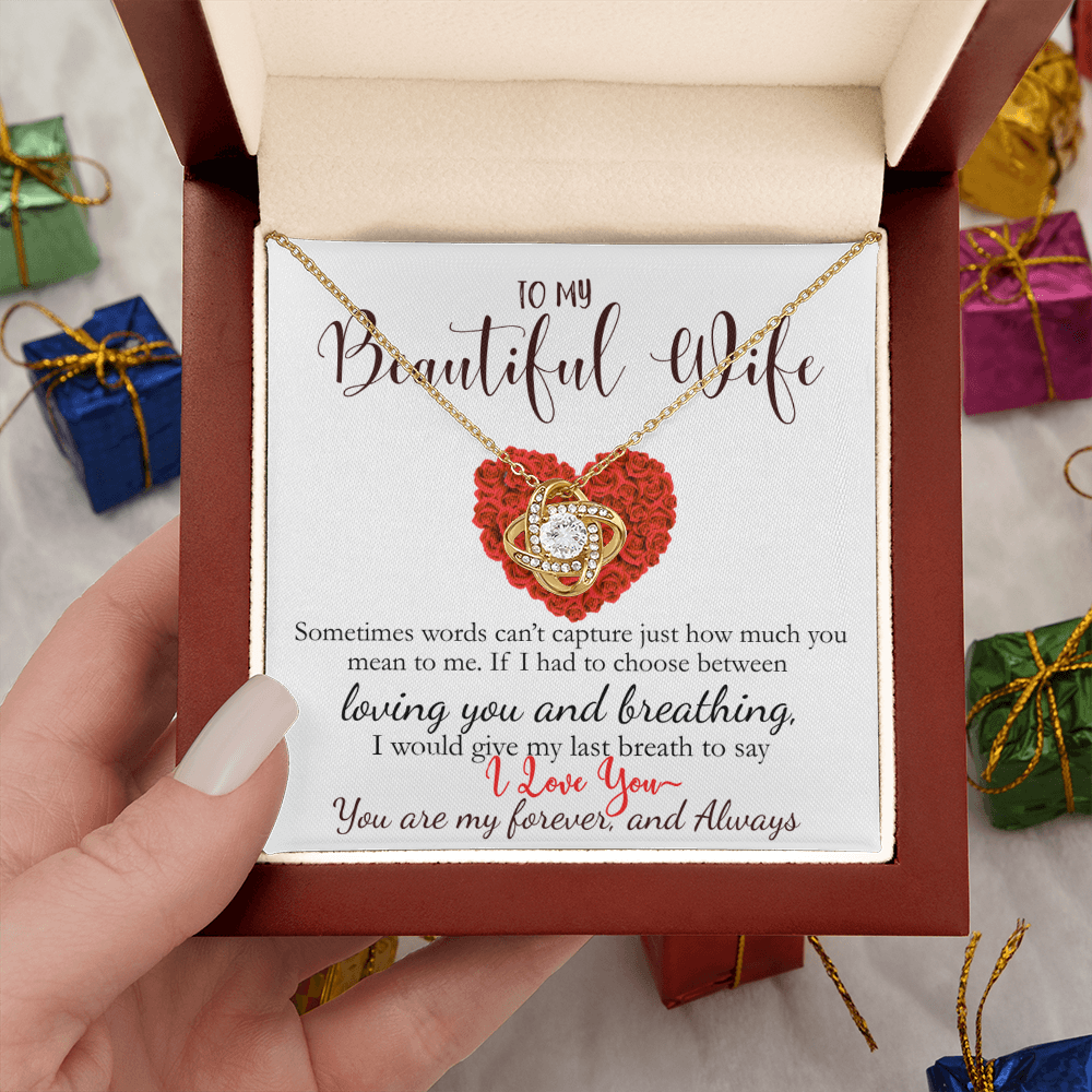 To My Beautiful Wife- Never Forget How Much You Mean To Me