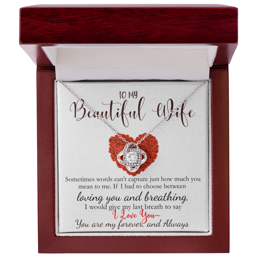 To My Beautiful Wife- Never Forget How Much You Mean To Me