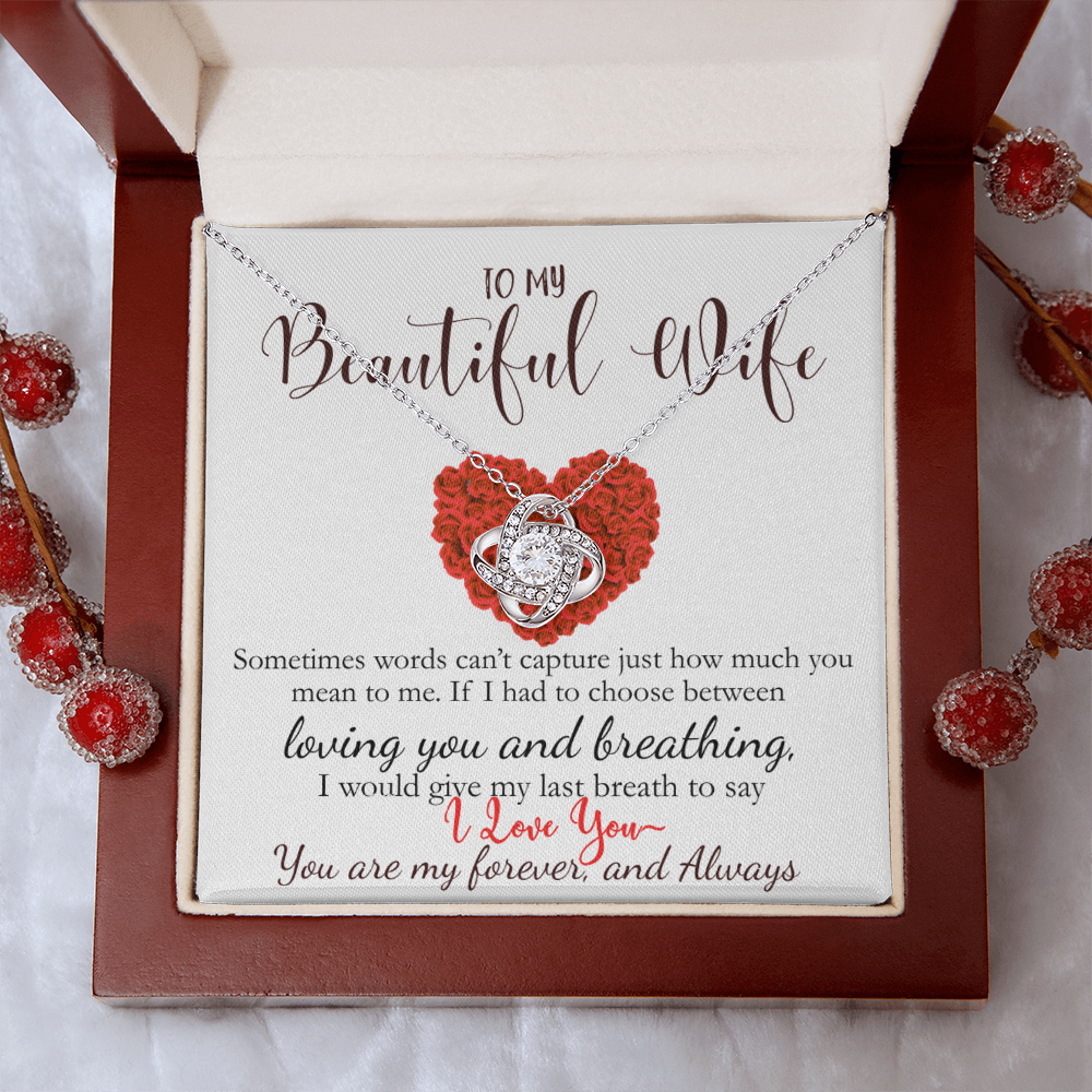 To My Beautiful Wife- Never Forget How Much You Mean To Me