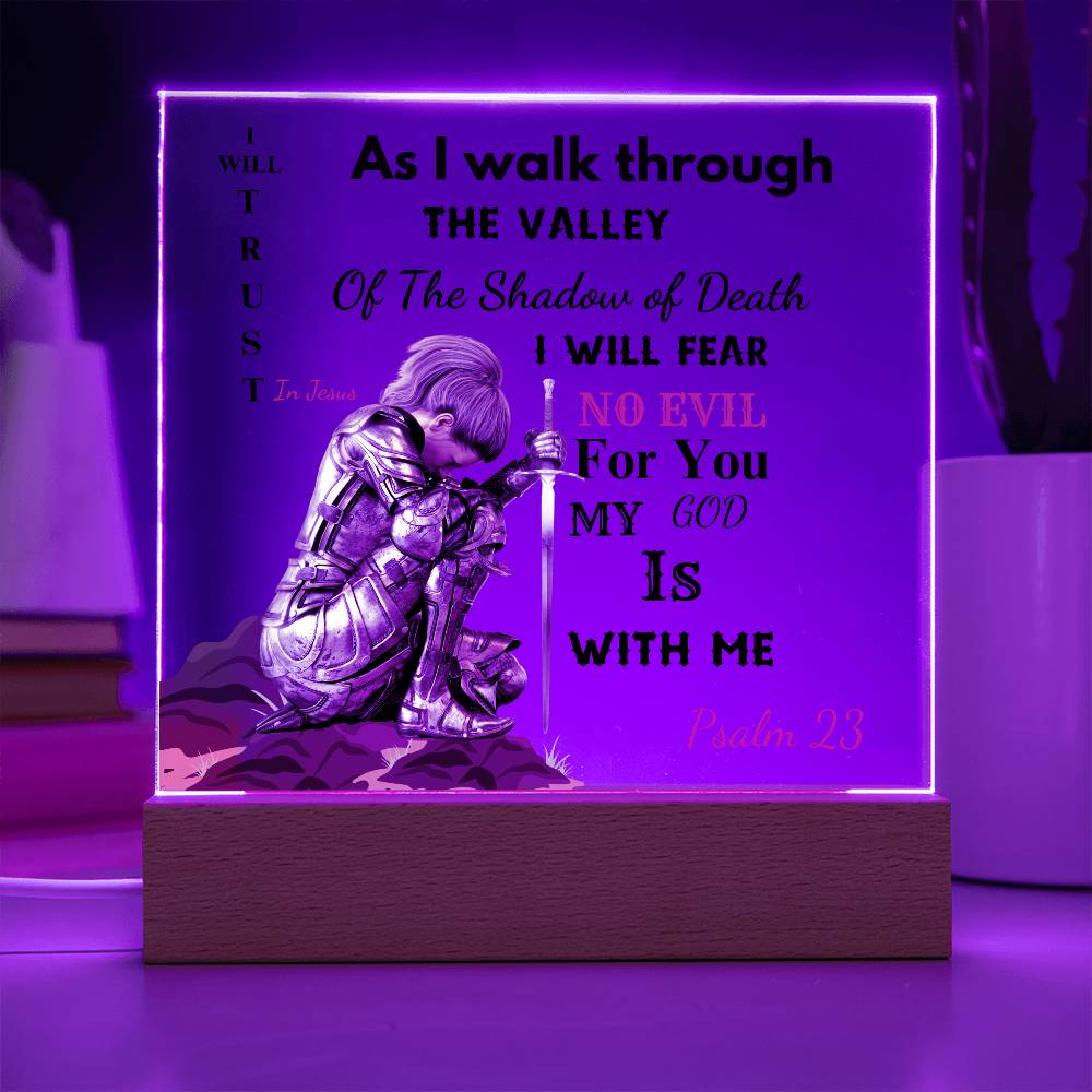 23 Psalm-Praying Warrior  LED Acrylic Plaque