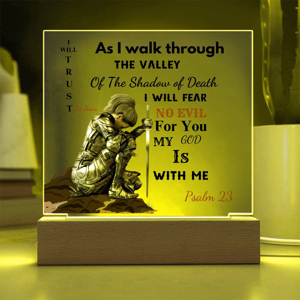 23 Psalm-Praying Warrior  LED Acrylic Plaque