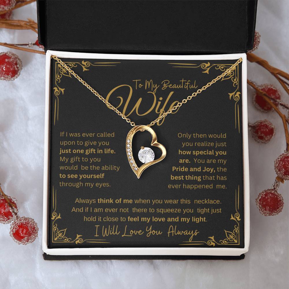 MY BEAUTIFUL WIFE YOU ARE SPECIAL TO ME  FOREVER NECKLACE