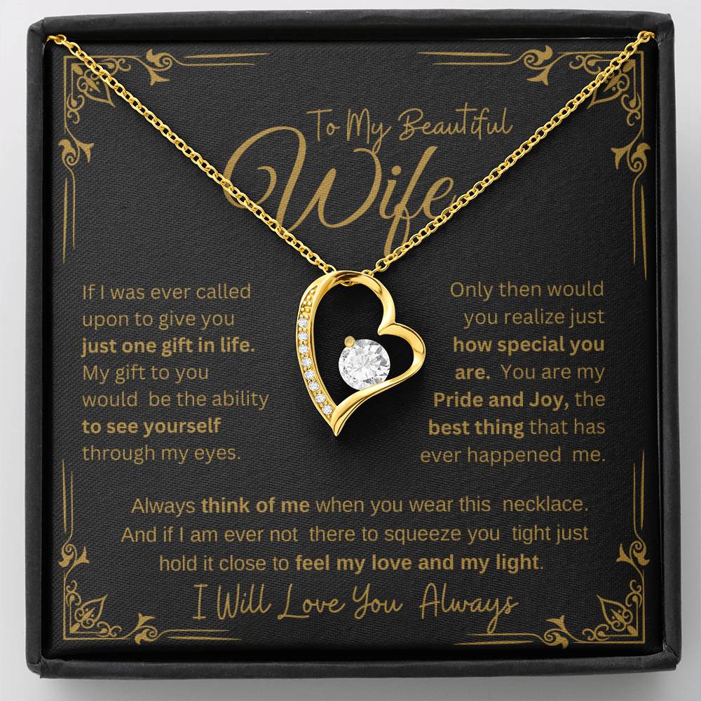 MY BEAUTIFUL WIFE YOU ARE SPECIAL TO ME  FOREVER NECKLACE