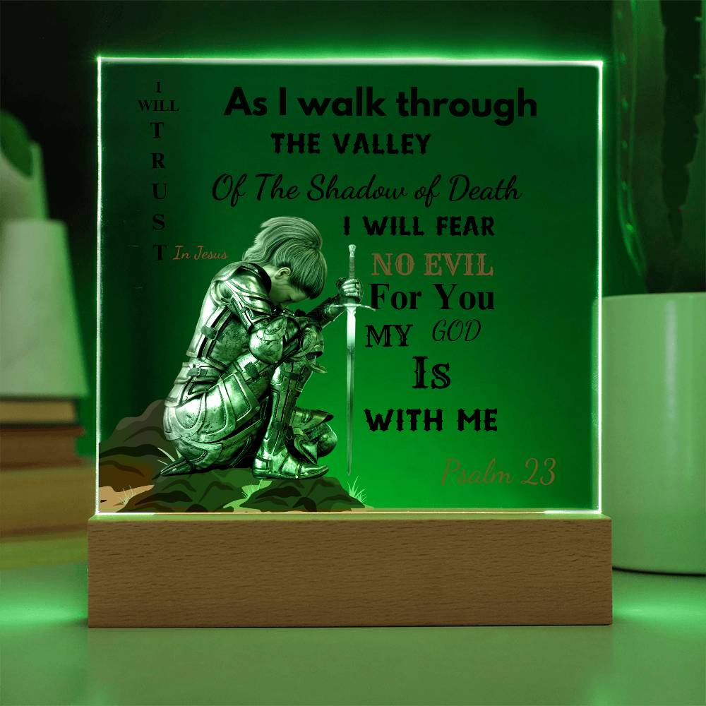 23 Psalm-Praying Warrior  LED Acrylic Plaque