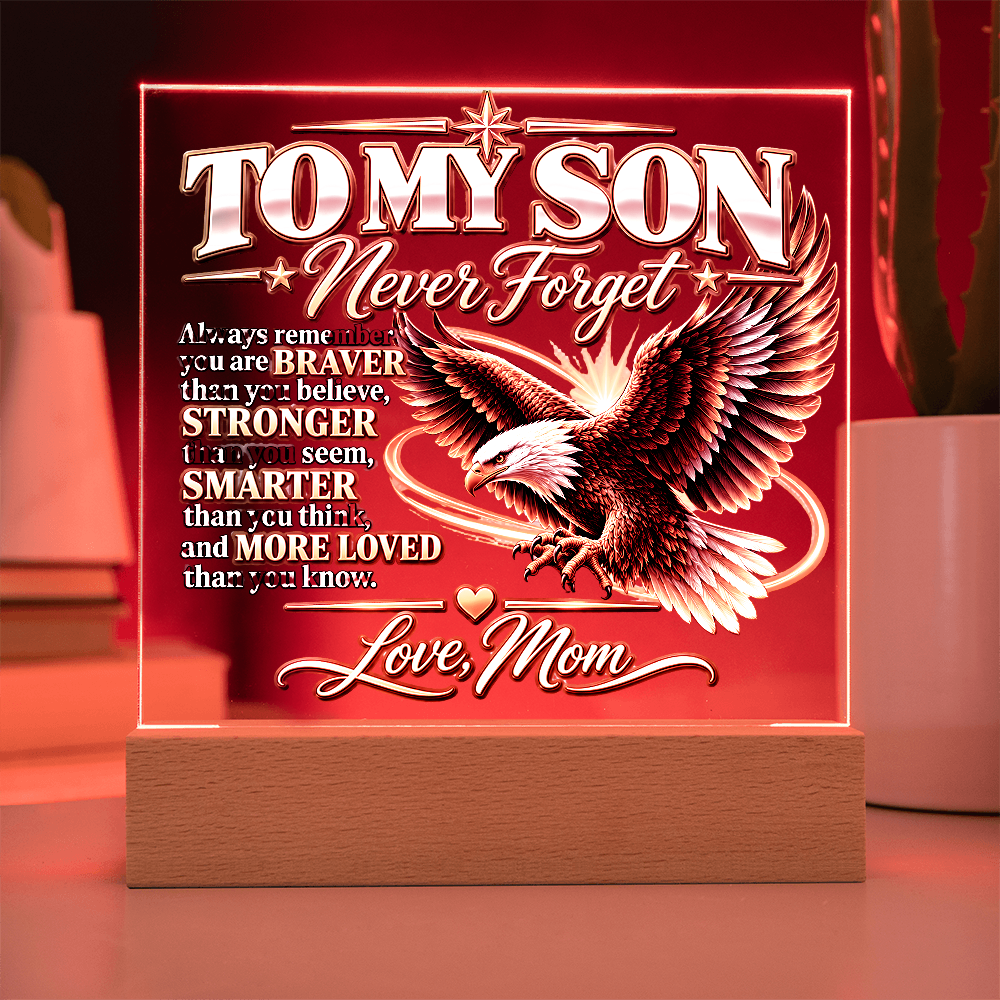 To My Son, Never Forget I Love You