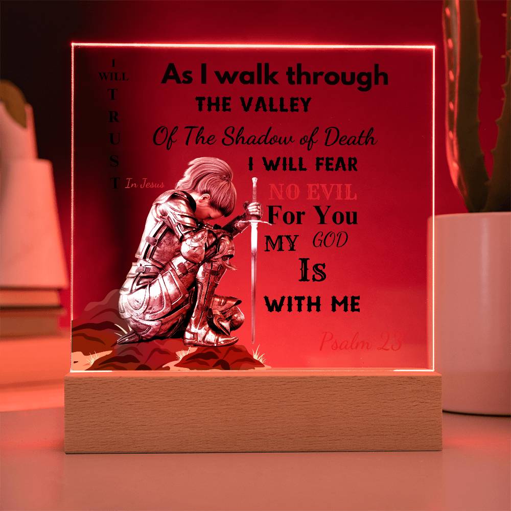 23 Psalm-Praying Warrior  LED Acrylic Plaque