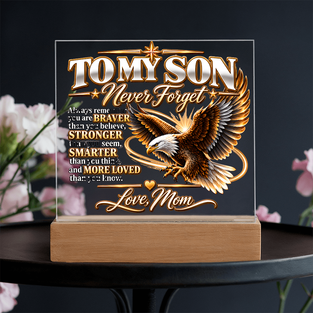 To My Son, Never Forget I Love You